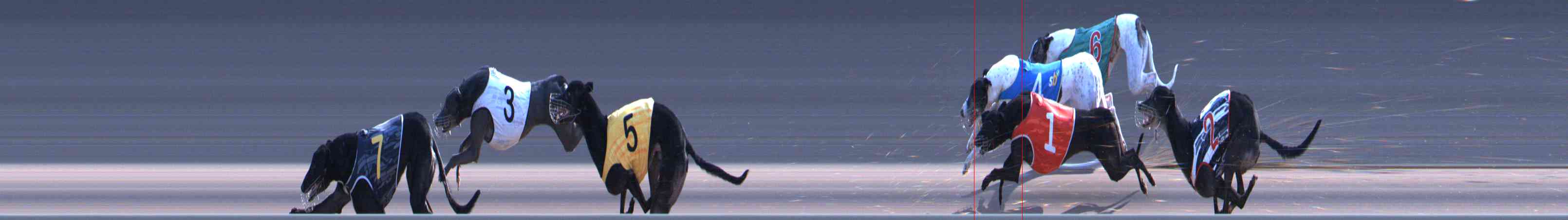 Race result finish photo